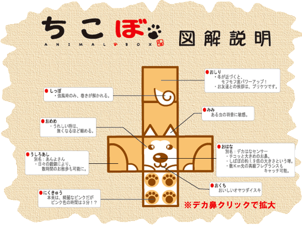 �����ڐ}��