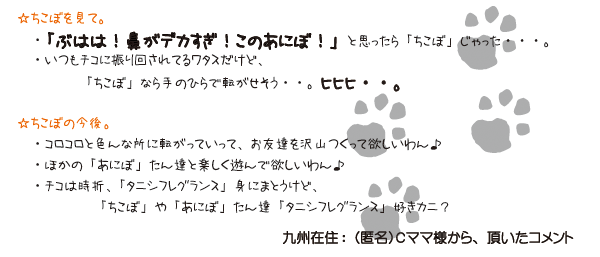 �R�����g